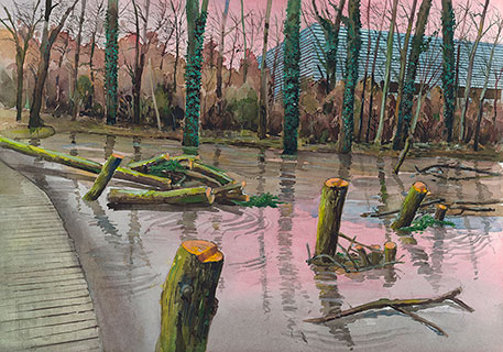 Pollarding, River Crane